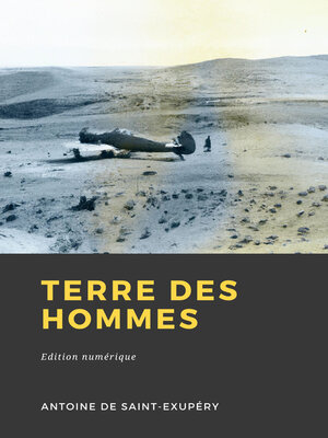 cover image of Terre des hommes